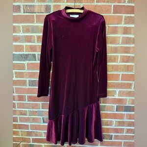 Vintage Long Sleeve Velvet Dress in Deep Burgundy